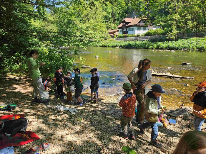 Einige Grundschulkinder und eine Erwachsene stehen am Rand eines flachen Flusses