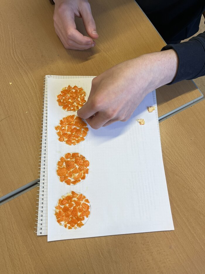 10. Klasse Montessori Passau erkundet Mathematik